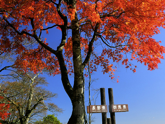 旧碓冰岭 观景台