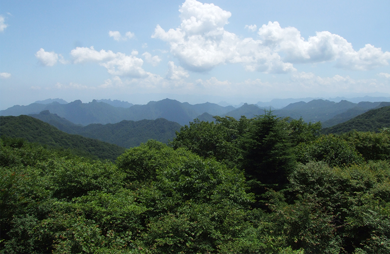 旧碓冰岭 观景台